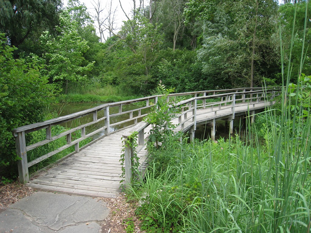 Matthaei Botanical Gardens 2010 0385.jpg - Another of the bridges that you will go across to access the trails.